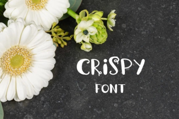 Crispy: A Playful Display Font for Crafters and Product Makers