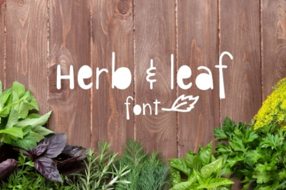 Herb Leaf: A Chunky Display Font for Playful Web Design