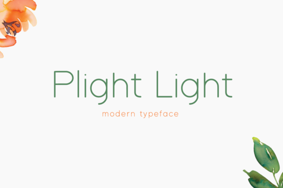 Why Plight Light Font Shapes a Refined Web Presence